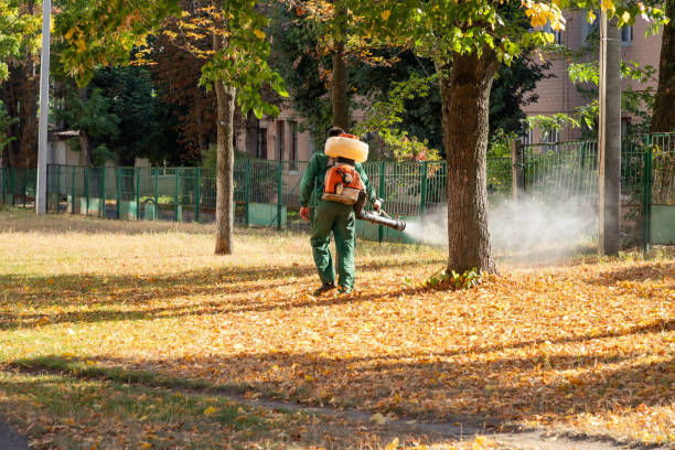 Pest Control Cost in Lumberton, MS