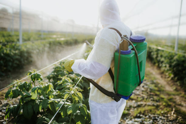 Wildlife Control Services in Lumberton, MS